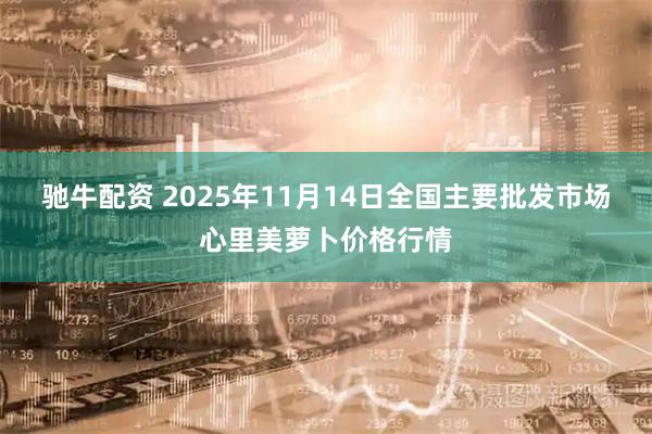驰牛配资 2025年11月14日全国主要批发市场心里美萝卜价格行情