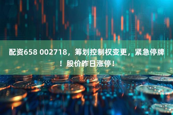 配资658 002718，筹划控制权变更，紧急停牌！股价昨日涨停！
